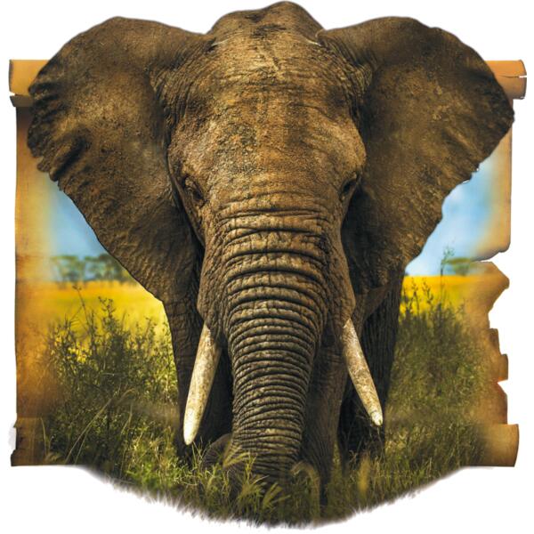 Elephant Thumbnail